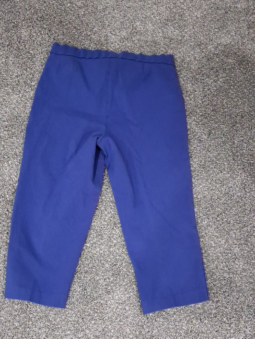 Counterparts Royal Blue Cropped Length Pull On Pants Size 10 - Picture 2 of 2